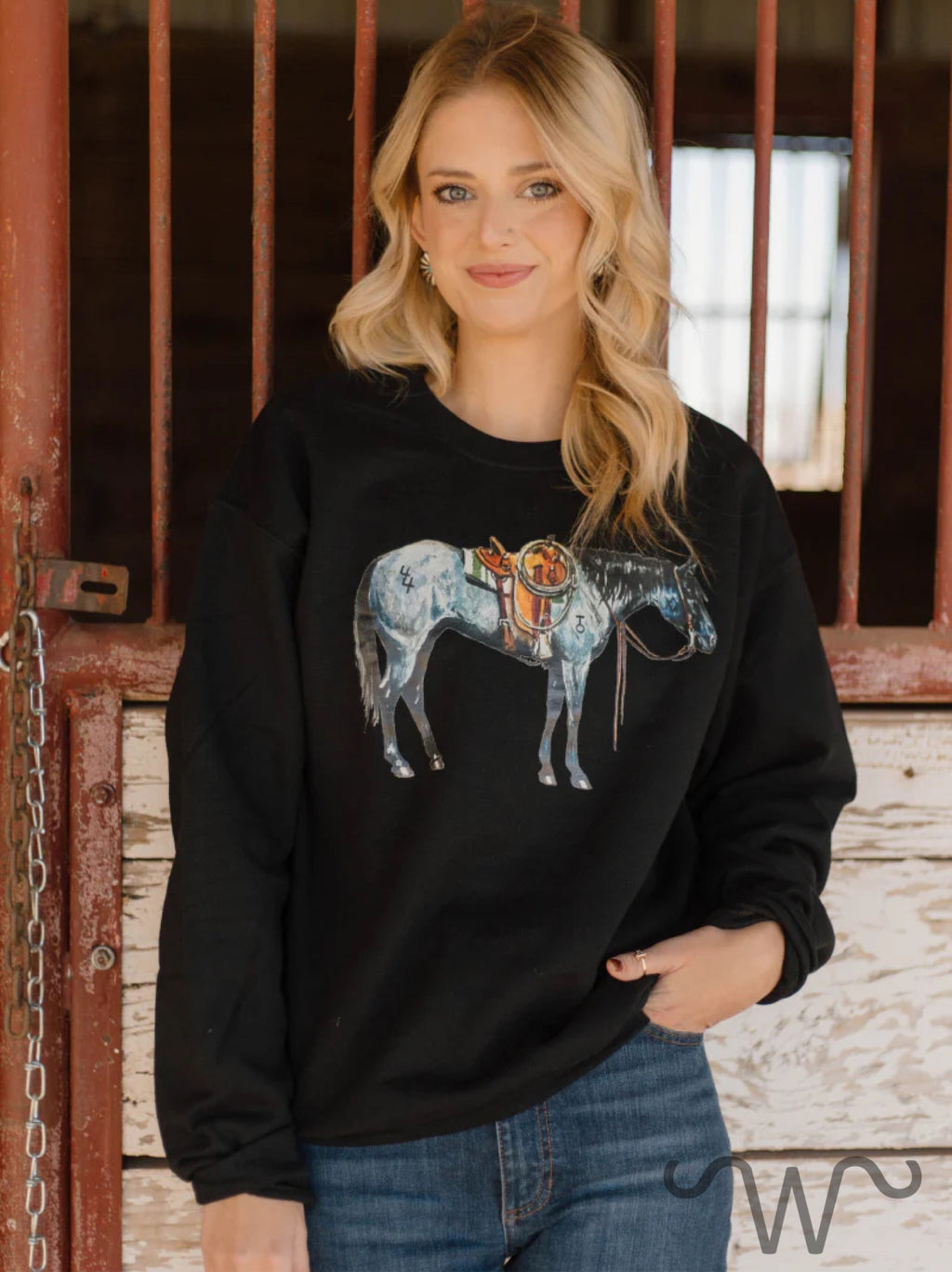 Blue Roan Belle Pullover